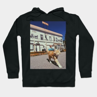 A cat pet animal walking on the street near hotel Yahk BC Hoodie